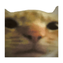 Cat Bot Logo
